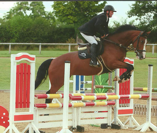Showjumping Horses For Sale UK